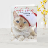 Carte Père Noël Paws Vient À Noël (Fleur jaune)