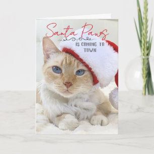 Carte Père Noël Paws Vient À Noël
