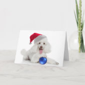 Carte père Noël Poodle (Devant)
