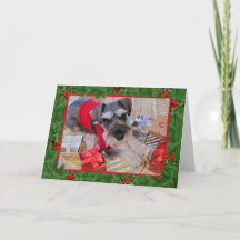 Père Noël Schnauzer avec Holly Christmas Card