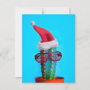 Carte Père Noël tropical Cactus