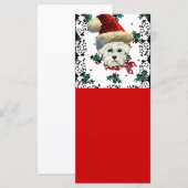 Carte Père Noël Westie (Devant / Derrière)