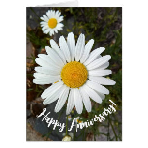 Carte Perky White Daisy Flower Anniversaire
