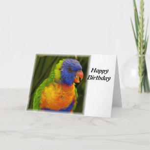 Carte perroquet