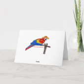 Carte Perroquet (Dos)