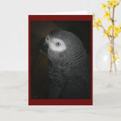 CARTE PERROQUET 4-GREY (Fleur jaune)