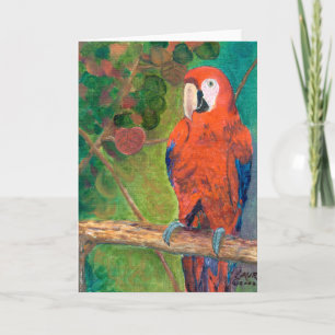 Carte Perroquet avec Seagrapes