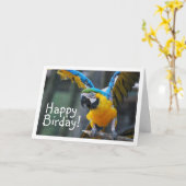 Carte Perroquet bleu et jaune (Fleur jaune)