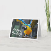 Carte Perroquet bleu et jaune (Devant)