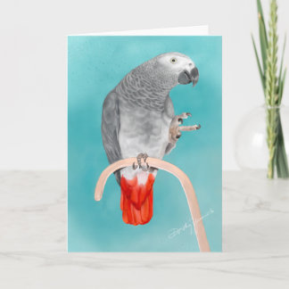 Carte Perroquet de gris africain
