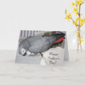 Carte Perroquet gris africain assis sur des oeufs (Fleur jaune)