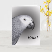 Carte Perroquet gris d'Afrique (Fleur jaune)