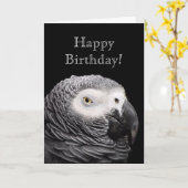 Carte Perroquet gris d'Afrique (Fleur jaune)