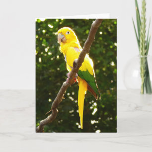 Carte Perroquet Jaune