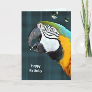 Carte Perroquet macaw avec bulles anniversaire sur plaid