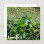 Carte Perroquet vert (Devant / Derrière)