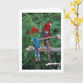 Carte Perroquets Rouges Bleus Et Verts (Fleur jaune)