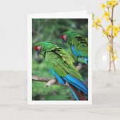 Carte Perroquets verts rouges et bleus (Fleur jaune)