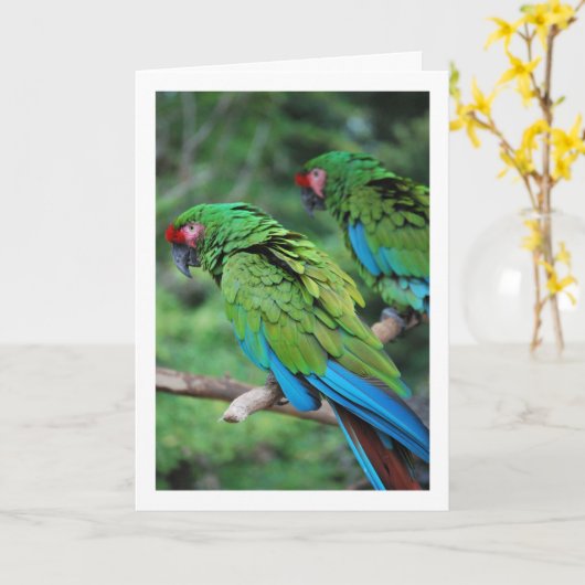 Carte Perroquets verts rouges et bleus (Fleur jaune)