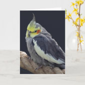 Carte Perruche à Tête Grise Affectueuse (Fleur jaune)