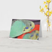 Carte Perruche regardant dans le miroir (Fleur jaune)