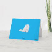 Carte Persans blancs drôles de Douvres (Dos)