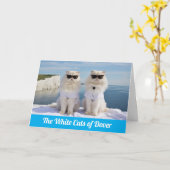 Carte Persans blancs drôles de Douvres (Fleur jaune)