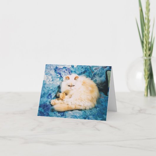 Carte Perse Cat Note (Devant)