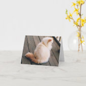 Carte Perse Cat Note (Fleur jaune)