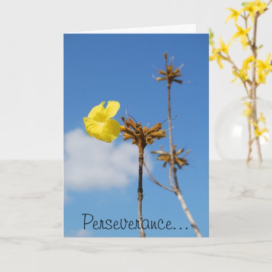 Carte Persévérance (Fleur jaune)