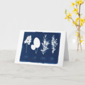 Carte Persil blanc sage de Rosemary et de thym (Fleur jaune)