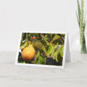 Carte Persimmons in Tree Portrait (Devant)