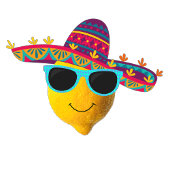 Carte Personalized Funny Lemon Lime 