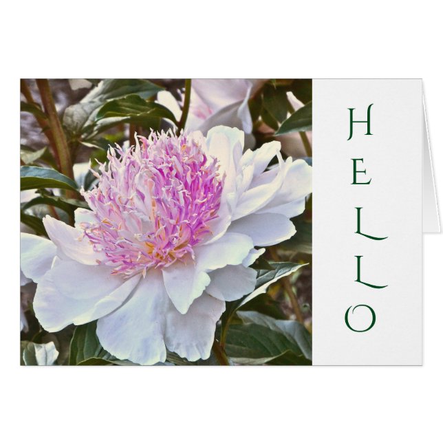 CARTE PERSONNALISABLE /BLANC ET ROSE PEONY/HELLO (Devant Horizontal)