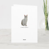 Carte Personnalisable Chat drôle à regarder dans miroir (Dos)