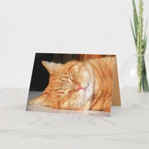 Carte personnalisable chaton orange mignon