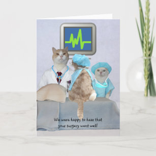 Cartes Humour Chat De Bon Retablissement Zazzle Be