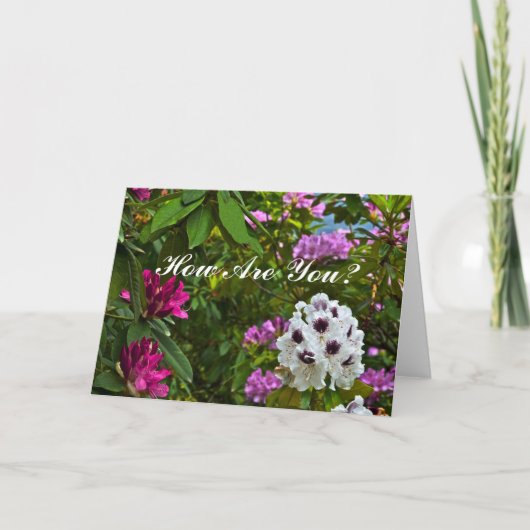 CARTE PERSONNALISABLE, "COMMENT ÊTES-VOUS ?"/RHODO (Devant)