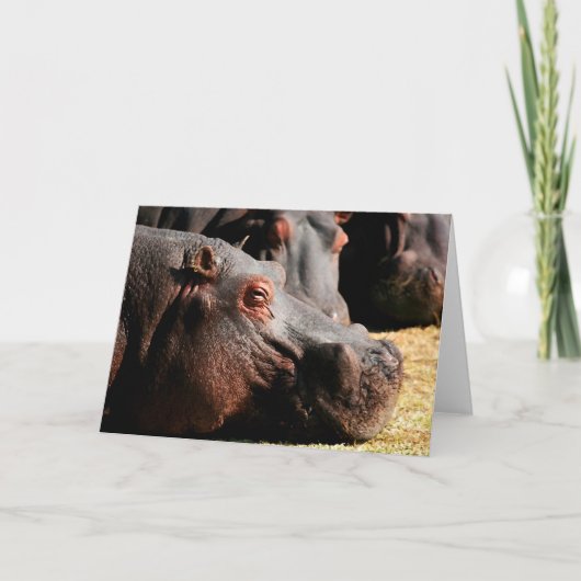 Carte personnalisable d'attitude d'hippopotame (Devant)