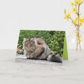 Carte personnalisable de chaton Maine Coon mignon (Fleur jaune)