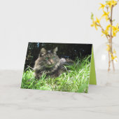 Carte personnalisable de chaton Maine Coon mignon (Fleur jaune)