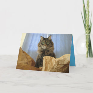 Carte personnalisable de chaton Maine Coon mignon
