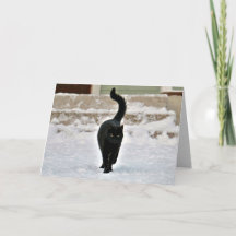 Carte personnalisable de chaton mignon