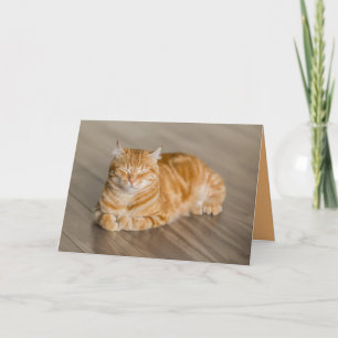 Carte personnalisable de chaton mignon Orange