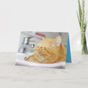 Carte personnalisable de chaton mignon Orange Kitt