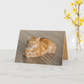 Carte personnalisable de chaton orange mignon (Fleur jaune)