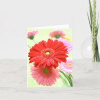 Carte personnalisable de marguerites de Gerber