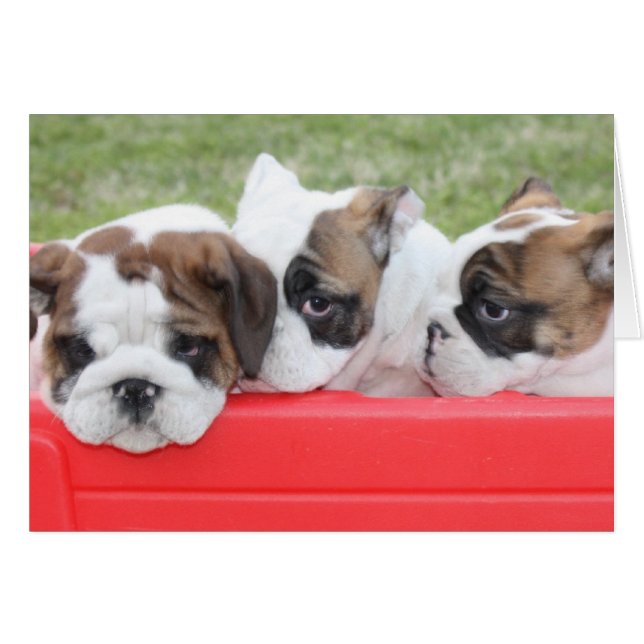 Carte personnalisable Puppy Love (Devant horizontal)