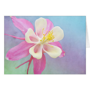 Carte personnalisée Columbine Rose & Blanc