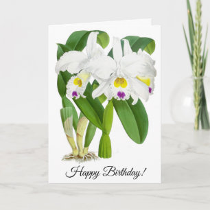 Carte personnalisée vintage blanc orchidée